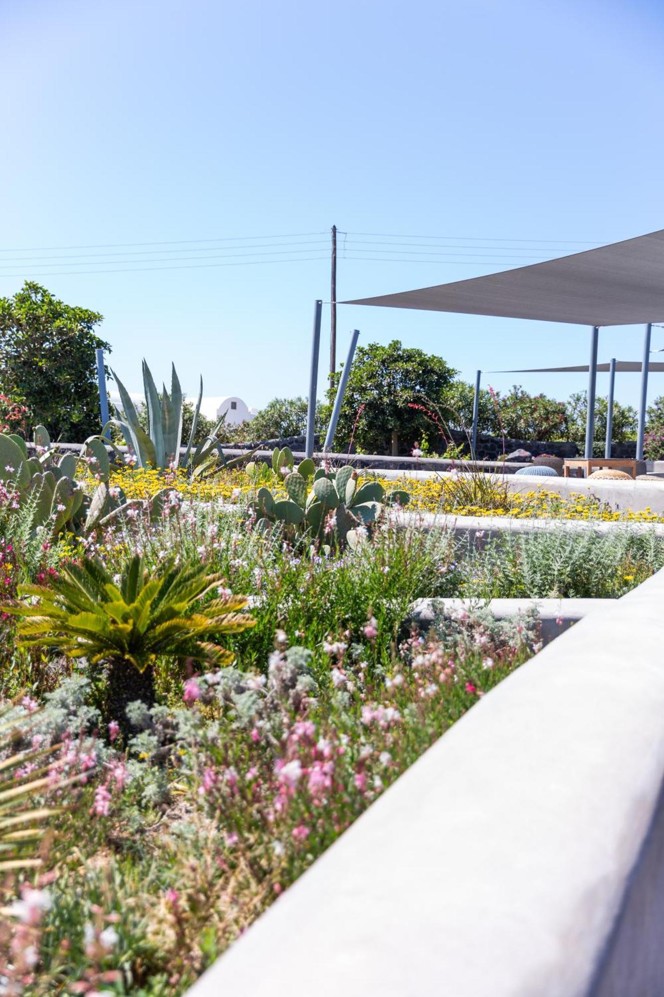 Soil Of Sun Luxury Villas Megalochori  Ngoại thất bức ảnh